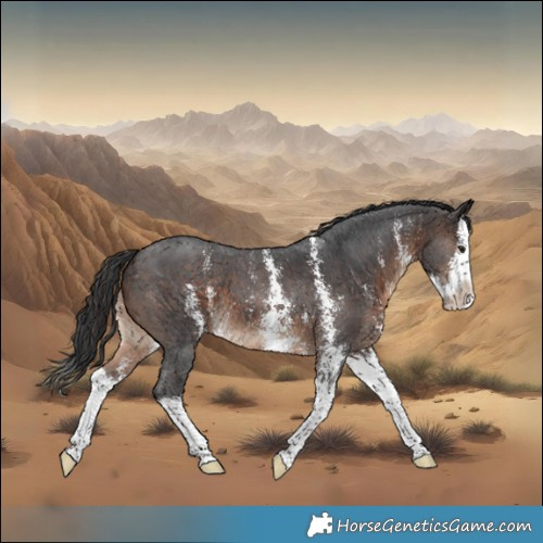 Horse Color:Brown Sabino Splash 