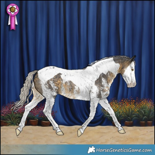 Horse Color:Silver Buckskin Sabino Splash Tobiano 
