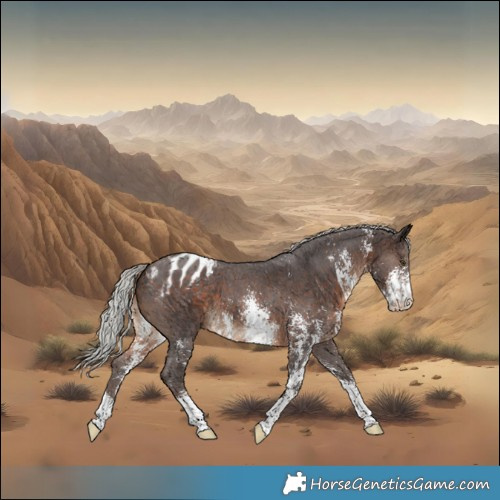 Horse Color:Silver Brown Sabino Appaloosa 