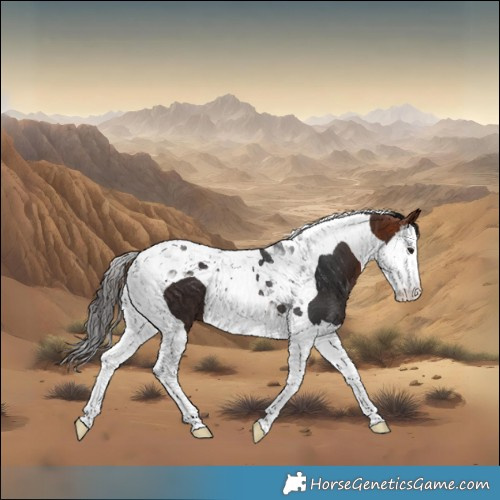 Horse Color:Bay Splash Tobiano 