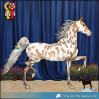 Horse Color:Silver Buckskin Appaloosa Rabicano 