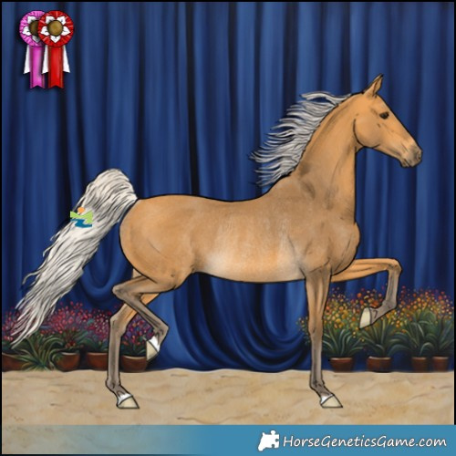 Horse Color:Silver Buckskin Rabicano
