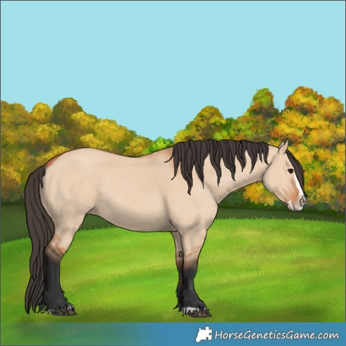 Horse Color:Bay Dun Splash Frame 