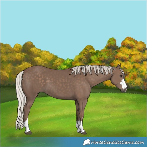 Horse Color:Silver Black 