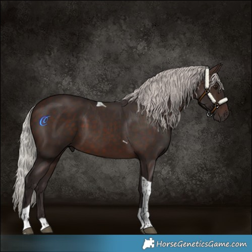 Horse Color:Silver Brown Tobiano Rabicano 