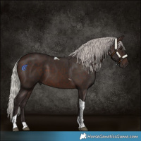 Horse Color:Silver Brown Tobiano Rabicano 