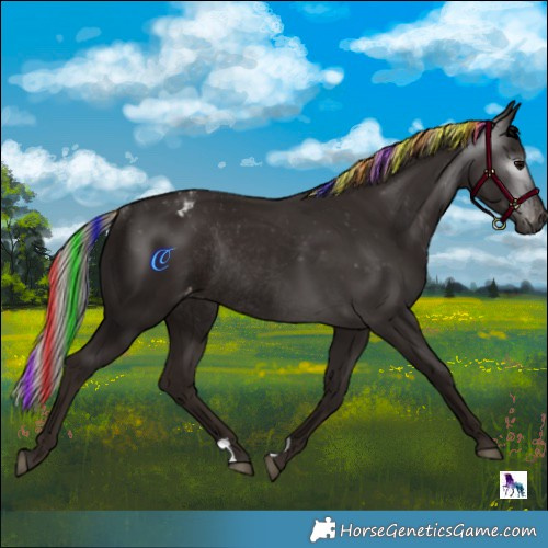 Horse Color:Gray Painted Silver Black Varnish Rabicano 