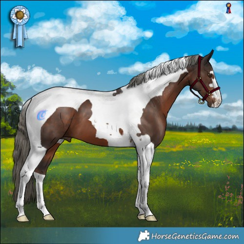 Horse Color:Liver Chestnut Mushroom Tobiano 