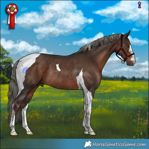 Horse Color:Liver Chestnut Mushroom Tobiano Rabicano