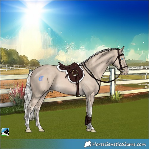 Horse Color:Cremello Sabino Tobiano Rabicano