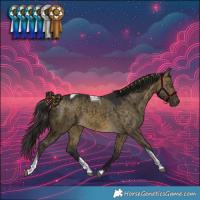 Horse Color:Buckskin Dun Tobiano Brindle