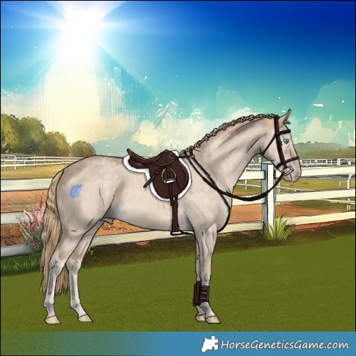 Horse Color:Perlino Dun Rabicano