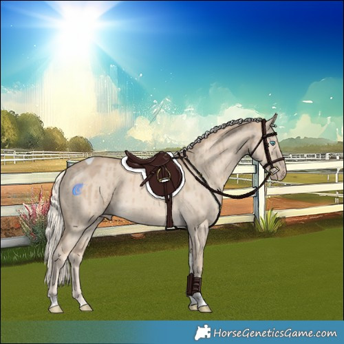 Horse Color:Cremello Dun Tobiano Rabicano Brindle 