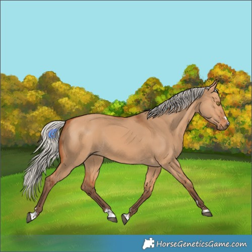 Horse Color:Silver Bay Dun 