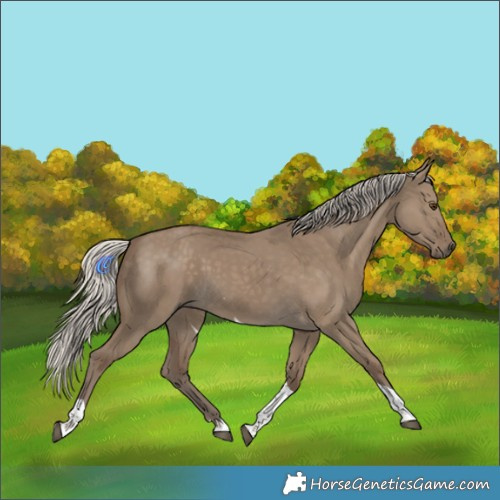 Horse Color:Silver Smoky Grullo Tobiano 