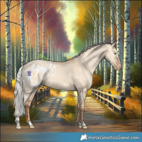 Horse Color:Silver Amber Champagne Dun Tobiano Blanket Rabicano 
