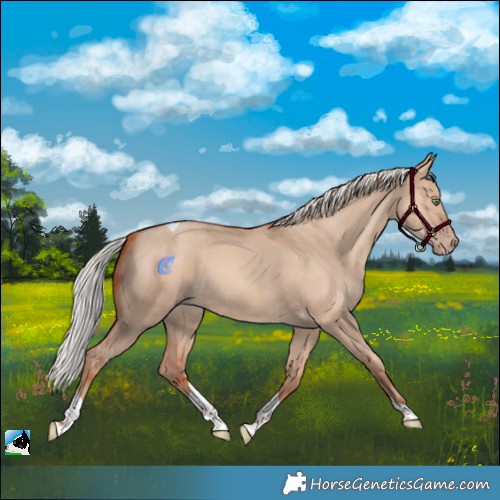 Horse Color:Silver Amber Champagne Dun Tobiano