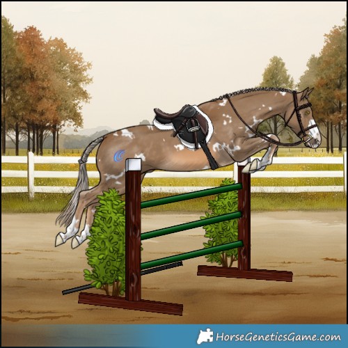 Horse Color:White Spotted Chocolate Palomino 