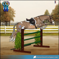 Horse Color:White Spotted Chocolate Palomino