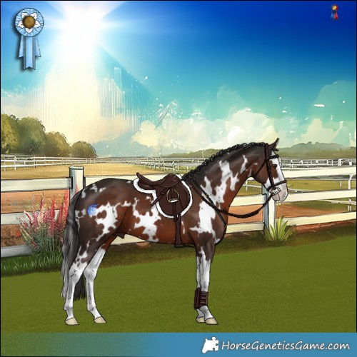 Horse Color:White Spotted Liver Chestnut Splash