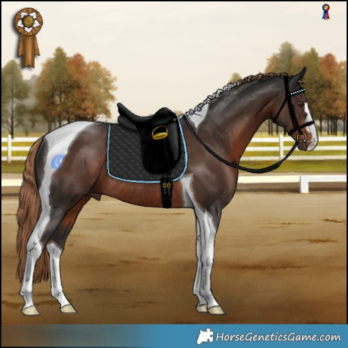 Horse Color:Liver Chestnut Tobiano Rabicano 