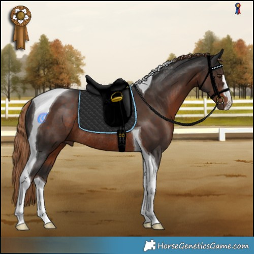 Horse Color:Liver Chestnut Tobiano Rabicano 