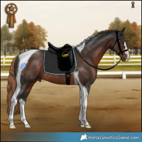 Horse Color:Liver Chestnut Tobiano Rabicano 