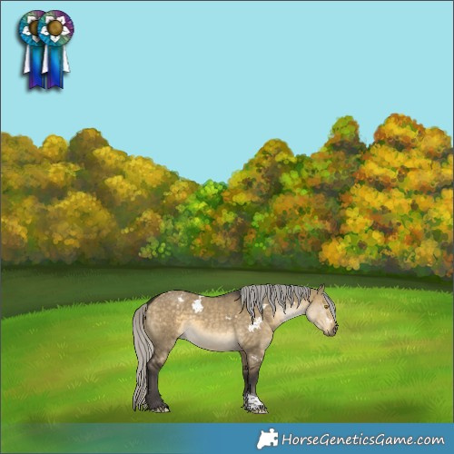 Horse Color:White Spotted Silver Buckskin Dun Tobiano 