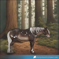 Horse Color:White Spotted Silver Brown Rabicano 