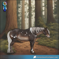 Horse Color:White Spotted Silver Brown Rabicano 