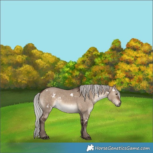 Horse Color:White Spotted Silver Brown Dun 