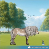 Horse Color:White Spotted Silver Brown Dun