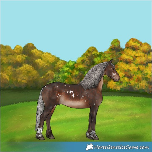 Horse Color:White Spotted Silver Brown Tobiano Rabicano 