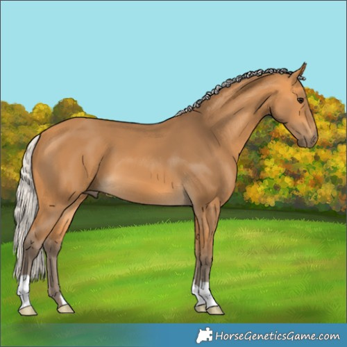Horse Color:Silver Buckskin