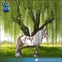 Horse Color:White Spotted Silver Brown Dun Tobiano Skewed LP Spotted 