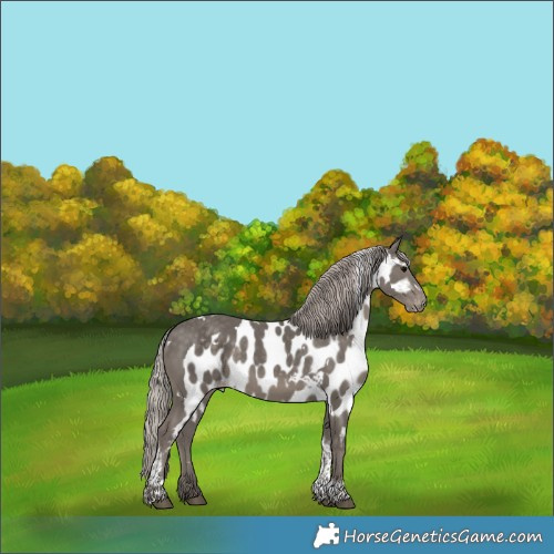 Horse Color:White Spotted Silver Black Tobiano Skewed Appaloosa