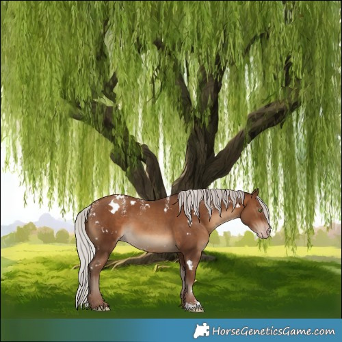 Horse Color:Powder White Gray White Spotted Silver Sable Champagne Skewed LP Spotted 