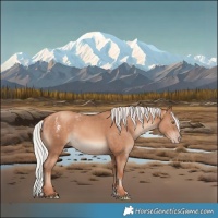 Horse Color:Powder White Silver Sable Champagne