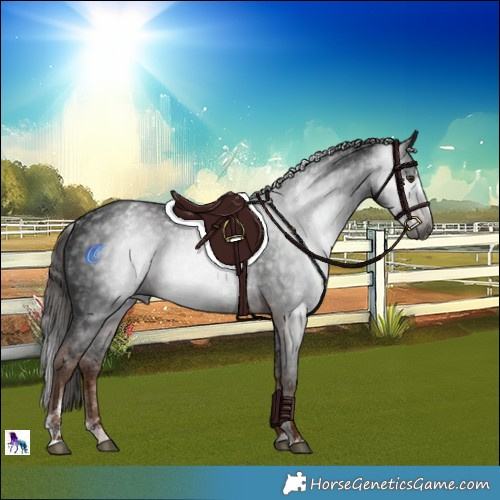 Horse Color:Powder White Gray Liver Chestnut Splash 