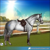 Horse Color:Powder White Gray Liver Chestnut Splash