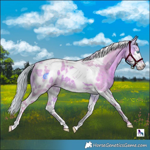 Horse Color:Watercolor Silver Brown Splash Tobiano Appaloosa 