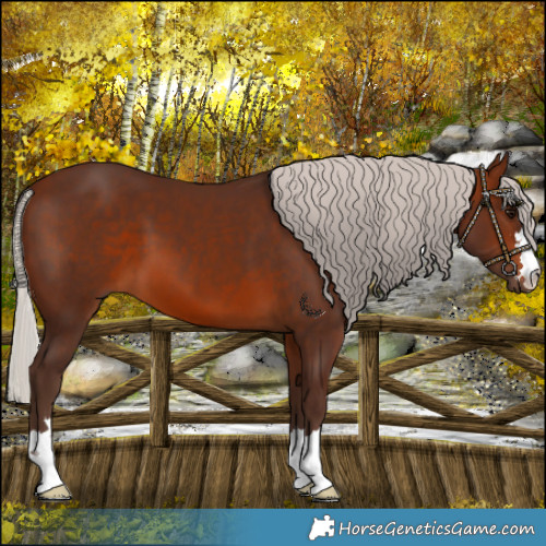 Horse Color:Silver Brown