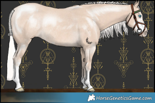 Horse Color:Silver Perlino Sabino Rabicano 