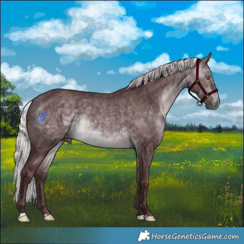 Horse Color:Chocolate Silver Brown Chinchilla 