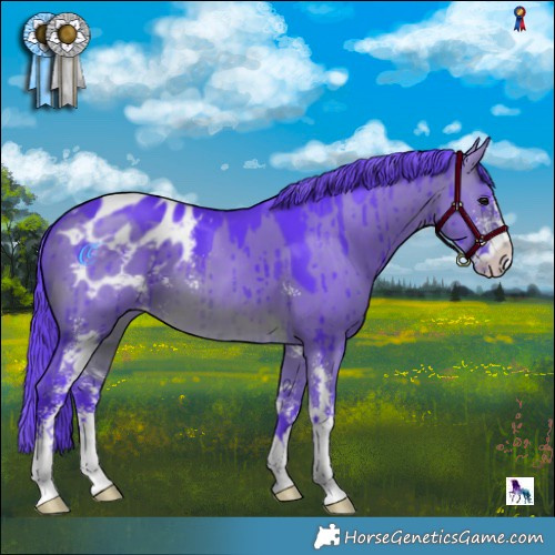 Horse Color:Watercolor Brown Dun Sabino Appaloosa Brindle