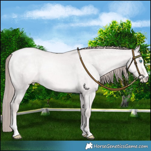 Horse Color:Platinum Buckskin Pearl Dun