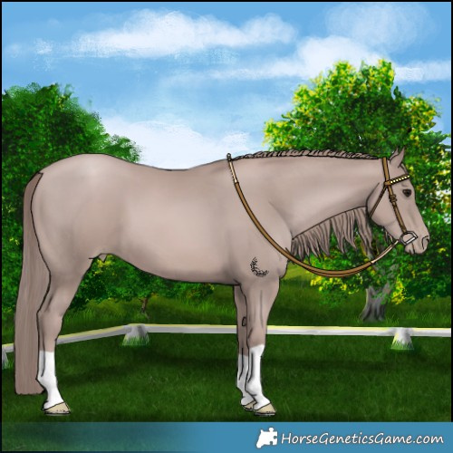 Horse Color:Platinum Black Pearl 