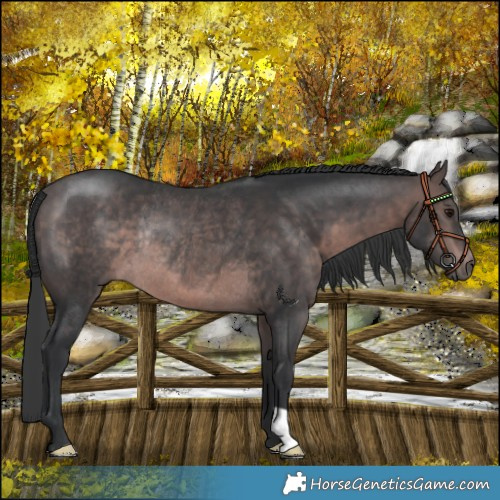 Horse Color:Platinum Brown Rabicano