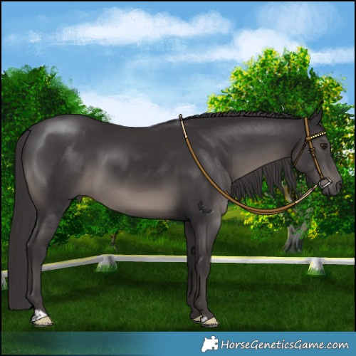 Horse Color:Platinum Smoky Black Mushroom 