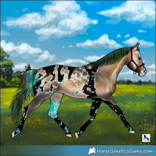 Horse Color:Painted Buckskin Onyx Tobiano Appaloosa Brindle 